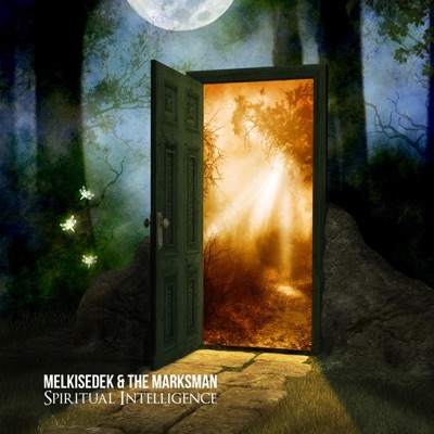 Spiritual Intelligence (feat. The Marksman) - Single
