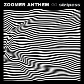 Zoomer Anthem Stripess