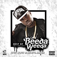 Best of Beeda Weeda, Vol. 1 (2006-2009) - Beeda Weeda