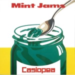 Casiopea - Tears Of The Star