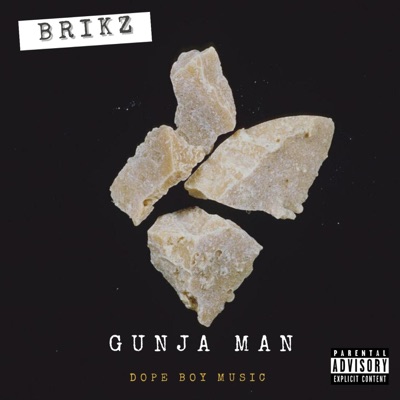 Brikz - Single