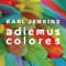 Adiemus Colores: Canción turquesa artwork