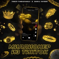 Миллионер из TikTok - Single - Timur Timbigfamily & Daniil Vayder