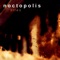 After the Forest Fire - Noctopolis lyrics