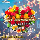 Popurrí: Las Mañanitas / En Tu Día / Felicidades, Felicidades (Mariachi) artwork