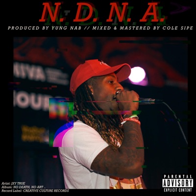 N.D.N.A. - Single