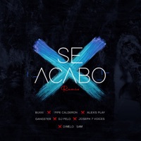 Se Acabó (Remix) [feat. DJ Felo, Alexis Play, Joseph7Voices & Dimelo Sam] - Single - Buxxi, Pipe Calderón & Gangster
