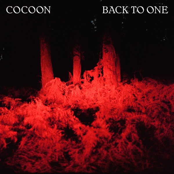 Back To One - Single - Cocoon