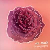 As Much - Single - Drainpuppet
