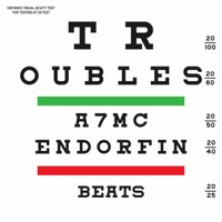 Troubles - Single - EndorfinBeats & A7mc