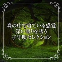 Lullaby selection that invites you to sleep deeply in the woods