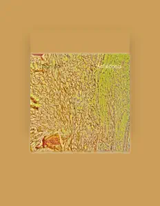 Posłuchaj wykonawcy Tauri Sb, obejrzyj teledyski, przeczytaj biografię, zobacz daty tras koncertowych i nie tylko!