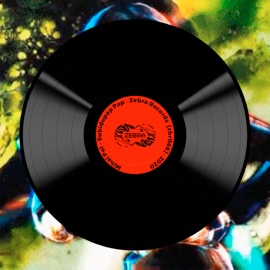 Subidupap Pap [ZBR066] Mihai Pol & Zebra Rec.
