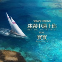 Met you in the Mist (feat. Bauhinia) - Single - Visual Visions