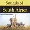 Stream & download Sounds of South Africa (Raw African Sounds with no Music)