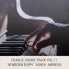 Charlie Sound Track Vol.11