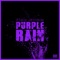 Purple Rain - Rich Bumm lyrics