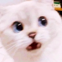 Honey - Single - jinnwilliam