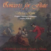 Concert in D Major for Flute and Orchestra: I. Allegro moderato artwork