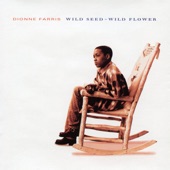 Dionne Farris - Blackbird