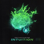 Intuition (feat. Qu & Allen Kass) artwork