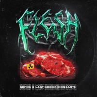 Flesh - Single - Last Good Kid on Earth & Sofos