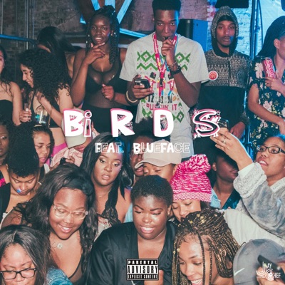 Birds (feat. Blueface) - Single