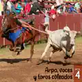 Coleador Carabobeño