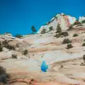 Out of My Body