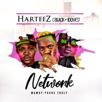Network (feat. Cblack & Idowest) - Single - Harteez