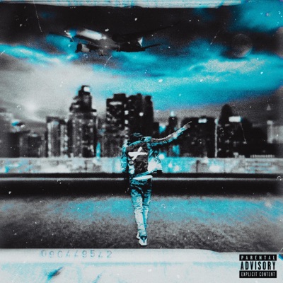 Don't Miss This Flight - Single