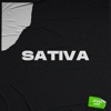 Sativa (Remix) - Single