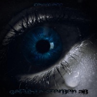 GEFÜHLE STERBEN AB - Single - Revvnecc