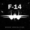 F-14 - Single