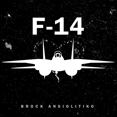 F-14 - Single