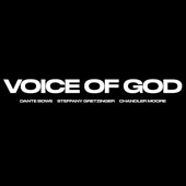 Voice of God (feat. Steffany Gretzinger & Chandler Moore) artwork