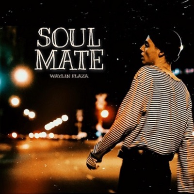 SOULMATE (I Ain't Never Met You) (feat. Marek & TINI) - Single