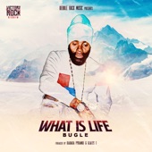 What Is Life artwork
