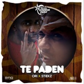 Te Paden artwork