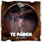 Te Paden artwork