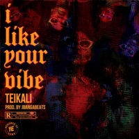 I Like Your Vibe - Single - Jbanga Beats & TeiKali