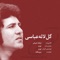 Gol e laleh abbasi (feat. Pari Zangeneh) - Delkook lyrics