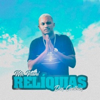 Relíquias dos Coelhos (feat. Dj Velost) - Single - Mc Naní