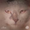 Oracle (Coyu "90's" Remix) cover art