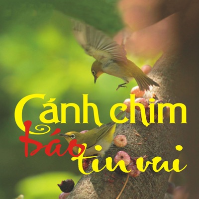 Cánh Chim Báo Tin Vui