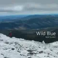 Into The Fire