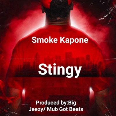 Stingy - Single