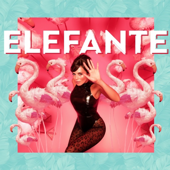 Cover artwork for Elefante