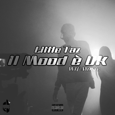 Il mood è ok - Single