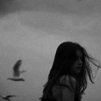 2019 Feelings - Single - dustxye. & 6shit